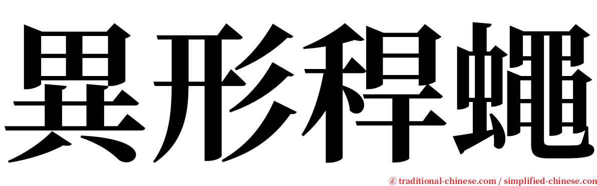 異形稈蠅 serif font