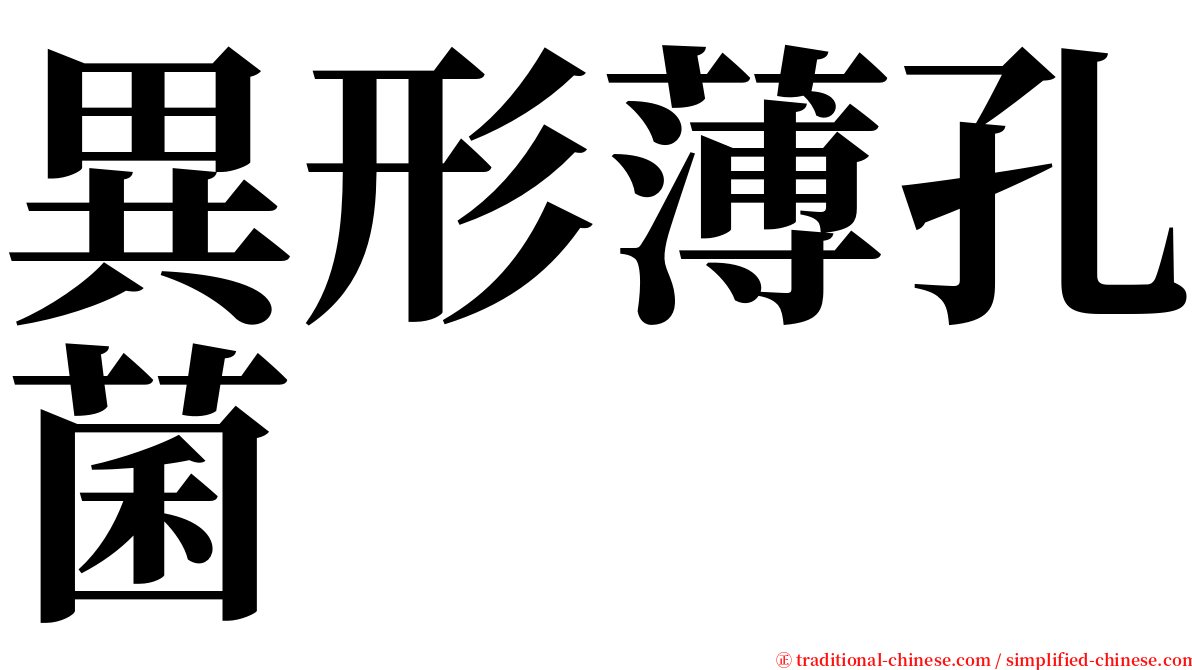 異形薄孔菌 serif font