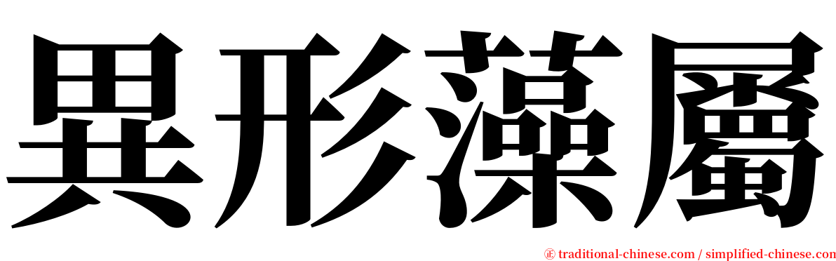 異形藻屬 serif font