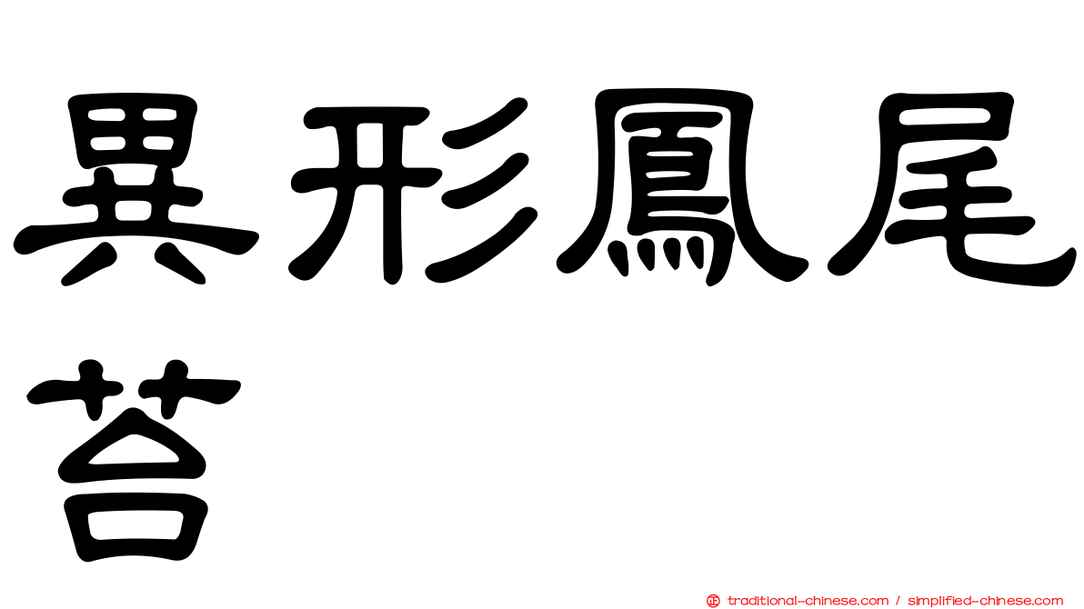 異形鳳尾苔