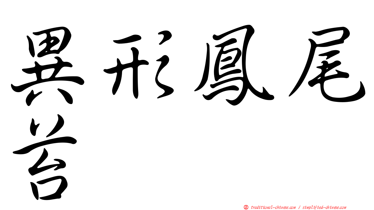 異形鳳尾苔