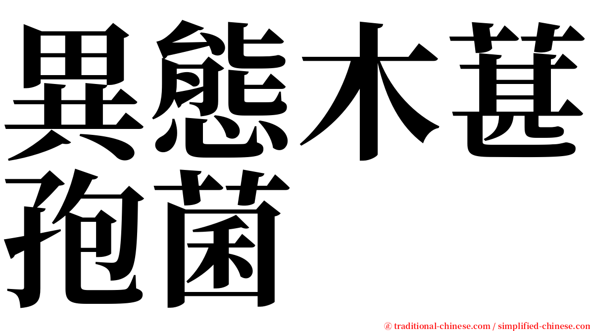 異態木葚孢菌 serif font