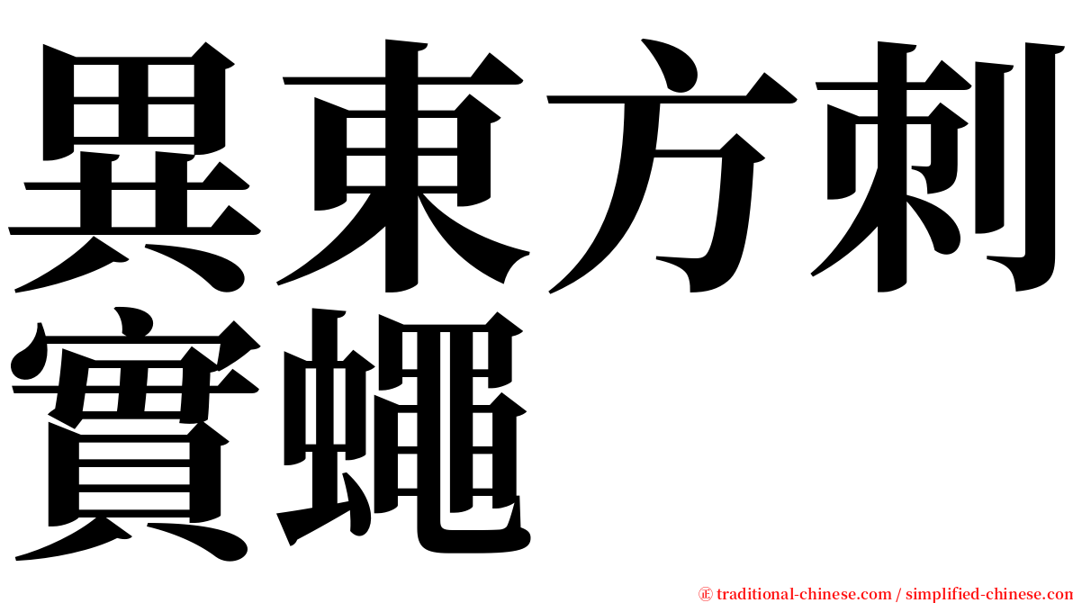 異東方刺實蠅 serif font