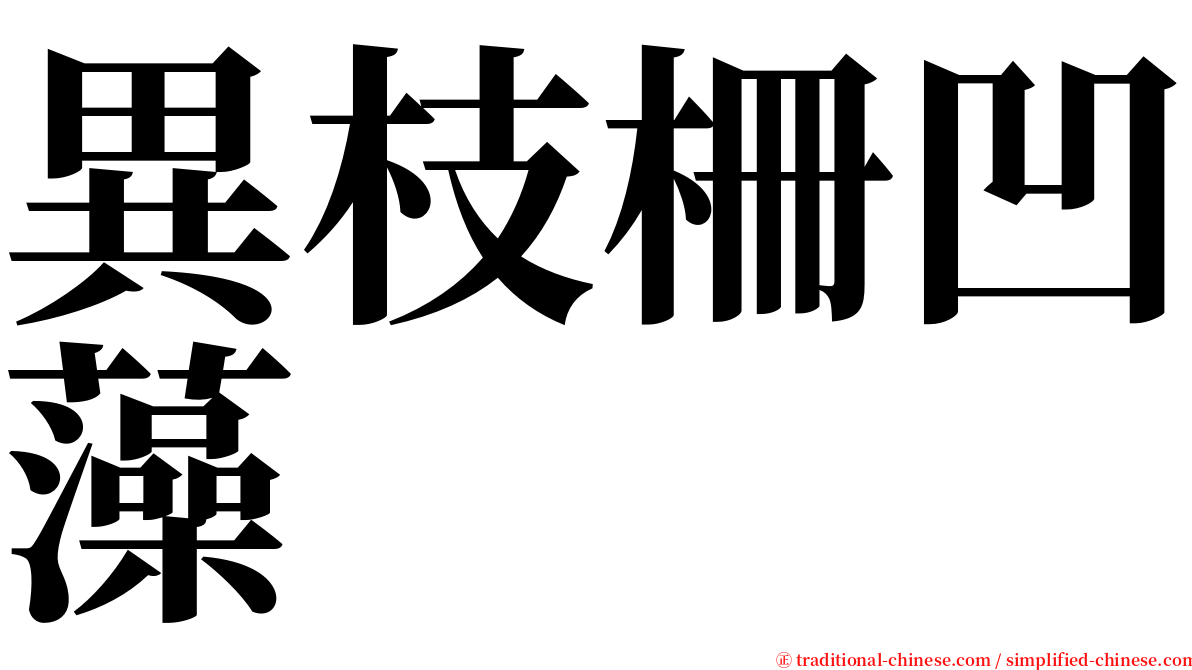 異枝柵凹藻 serif font