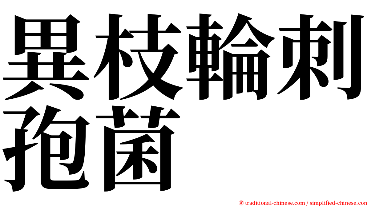 異枝輪刺孢菌 serif font