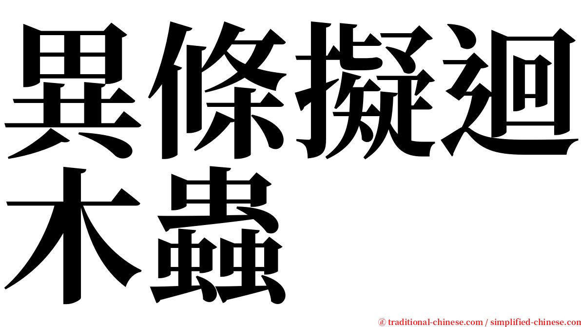 異條擬迴木蟲 serif font