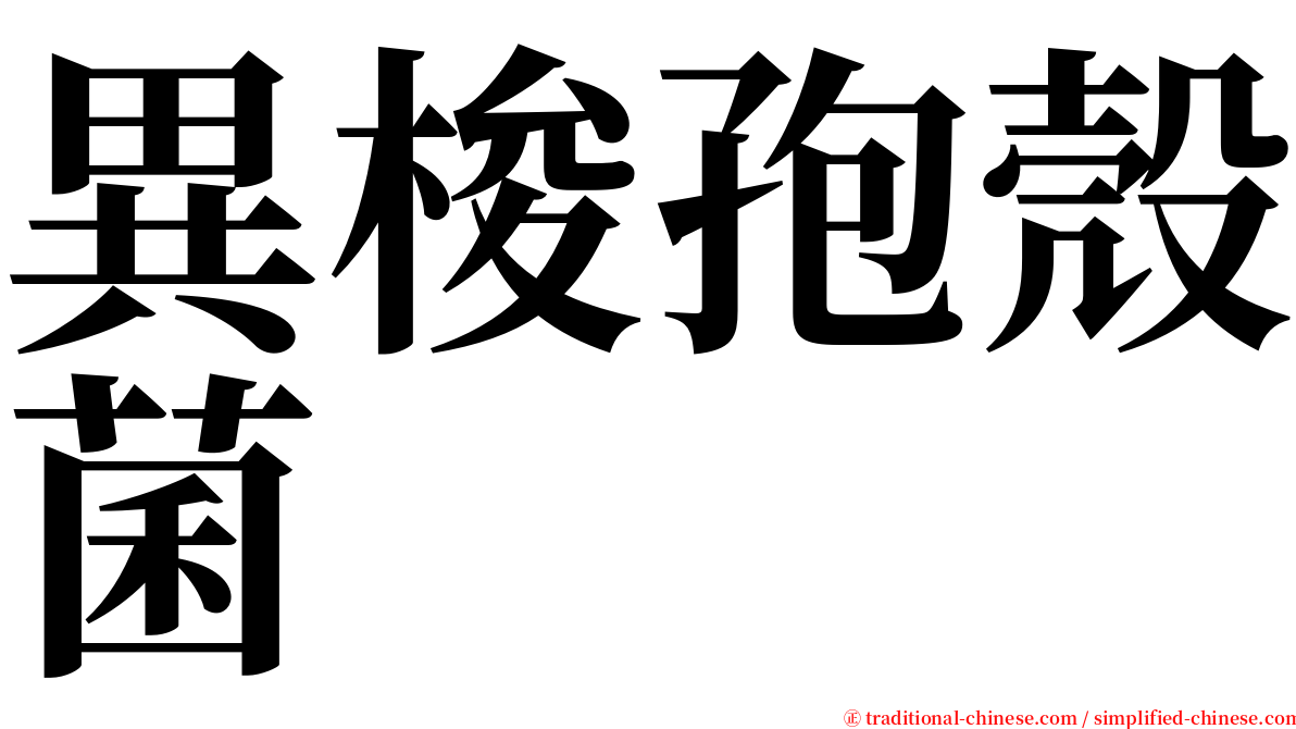 異梭孢殼菌 serif font