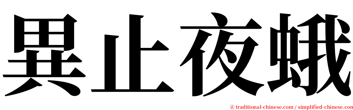 異止夜蛾 serif font