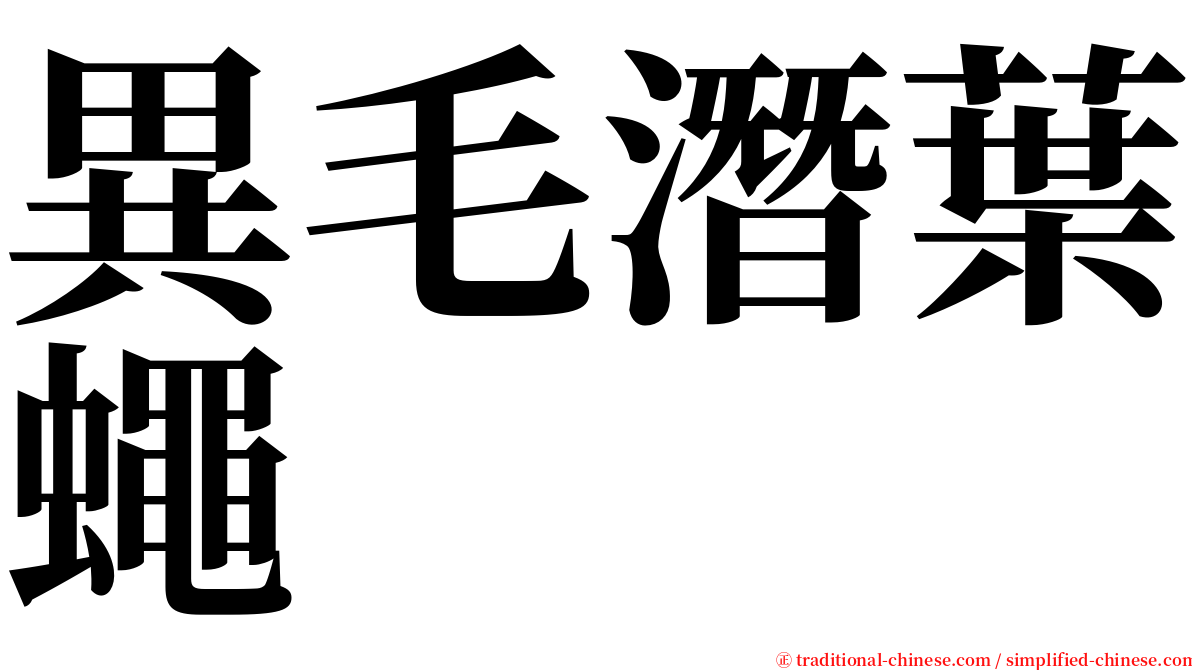 異毛潛葉蠅 serif font