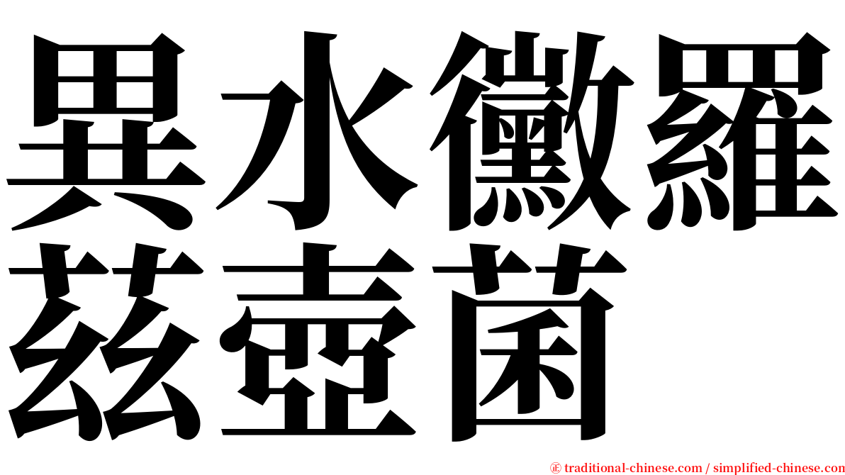 異水黴羅茲壺菌 serif font