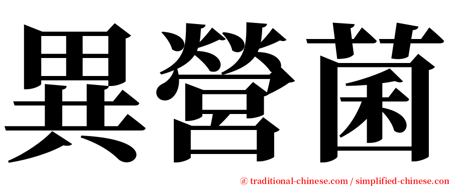 異營菌 serif font