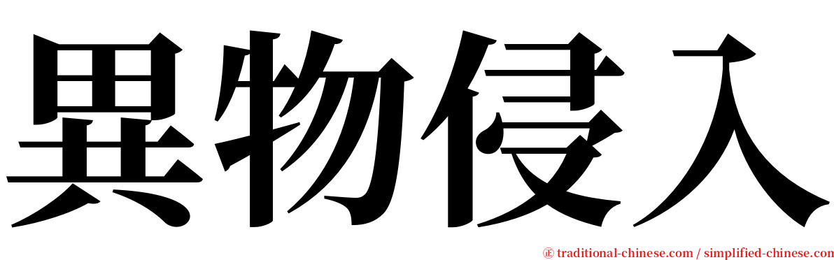 異物侵入 serif font