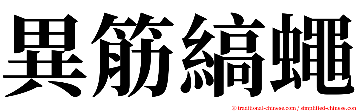 異筋縞蠅 serif font