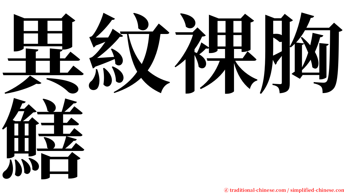 異紋裸胸鱔 serif font