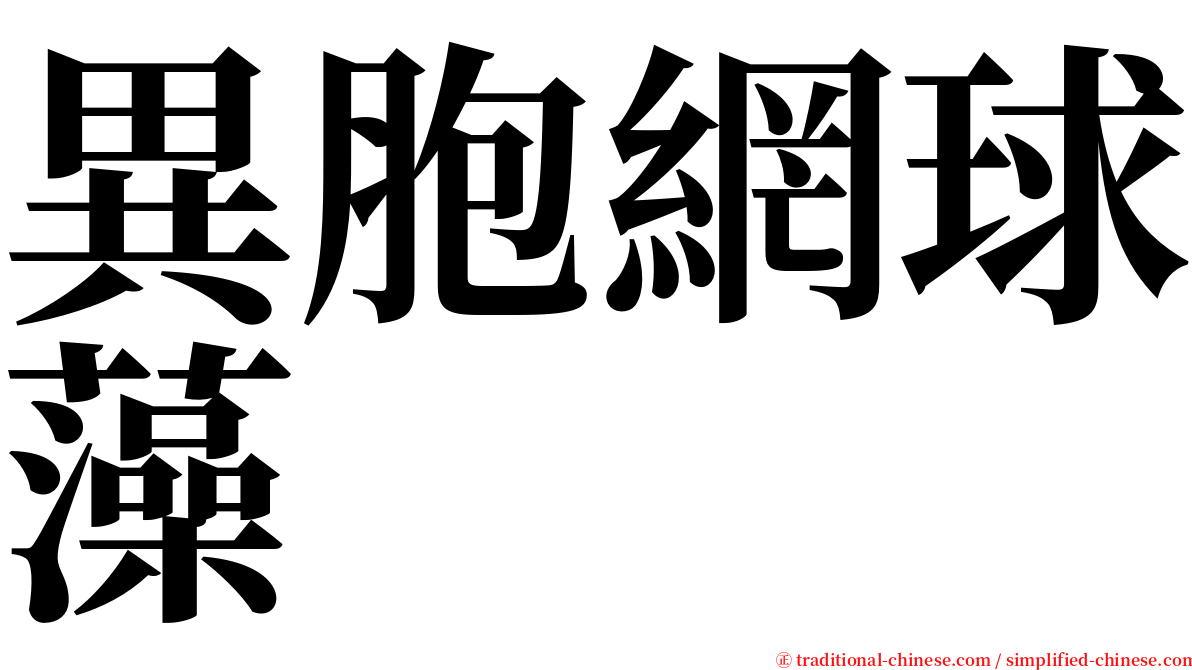 異胞網球藻 serif font