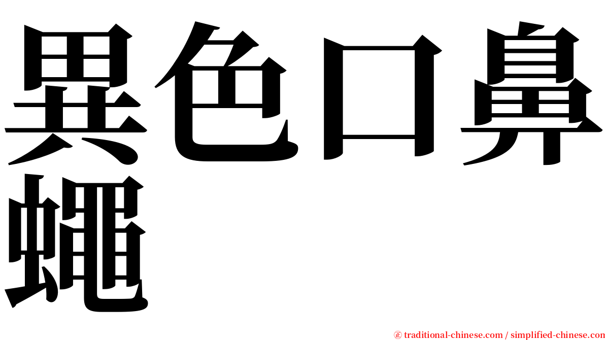 異色口鼻蠅 serif font