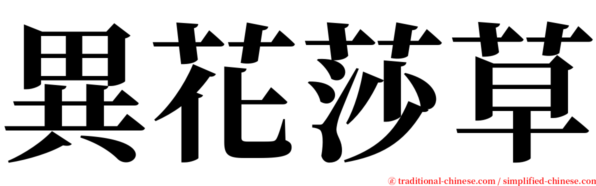 異花莎草 serif font
