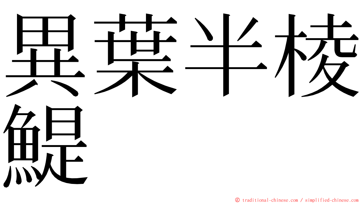 異葉半棱鯷 ming font