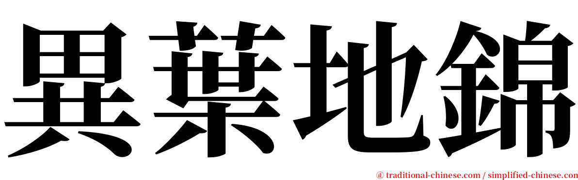 異葉地錦 serif font