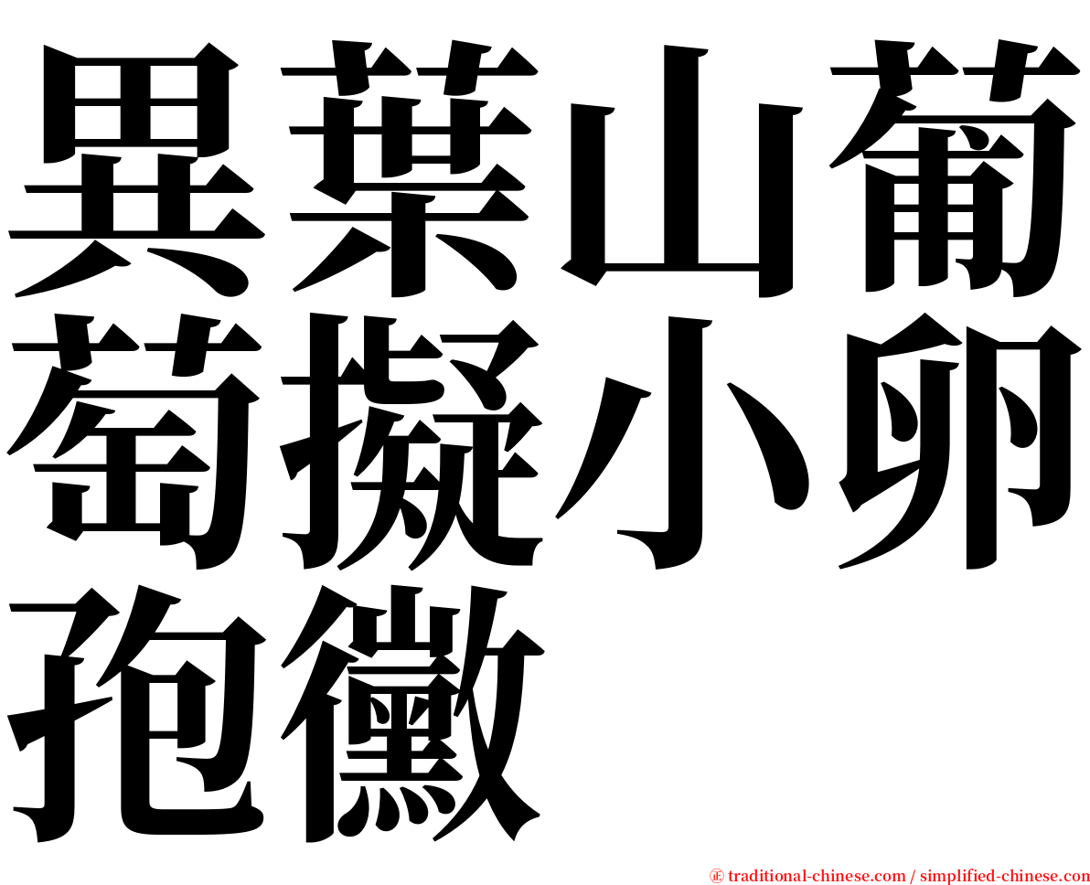 異葉山葡萄擬小卵孢黴 serif font