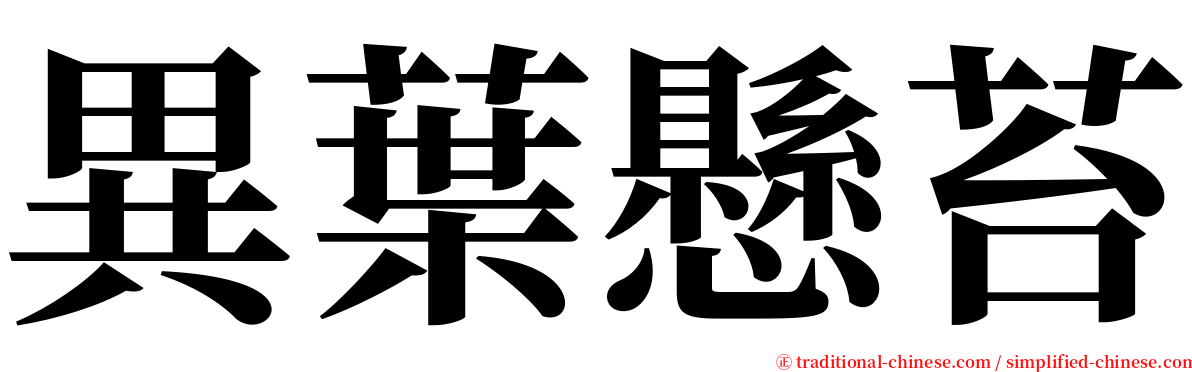 異葉懸苔 serif font