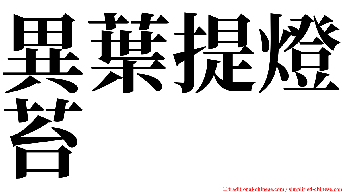 異葉提燈苔 serif font