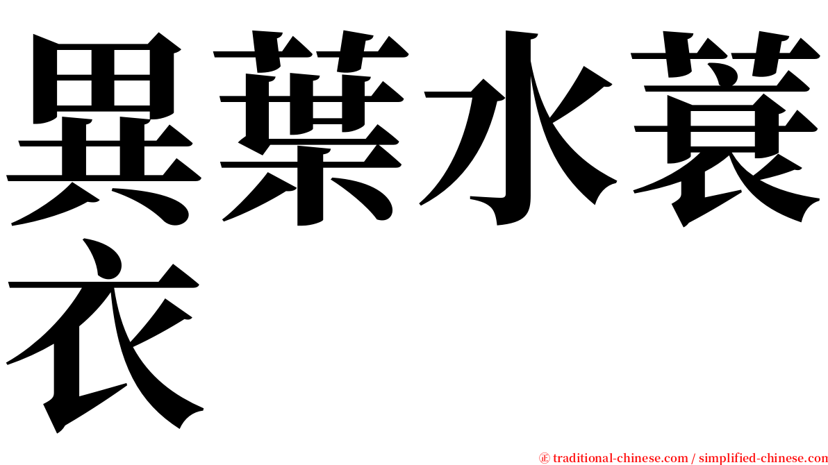 異葉水蓑衣 serif font