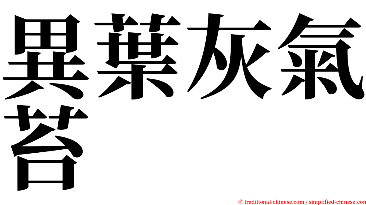 異葉灰氣苔 serif font