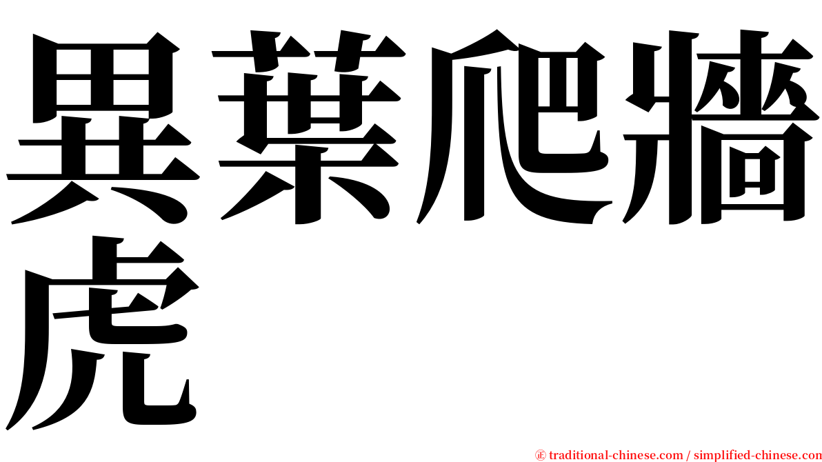 異葉爬牆虎 serif font