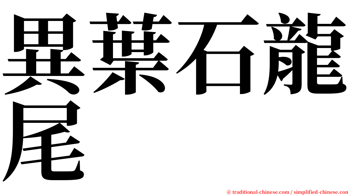 異葉石龍尾 serif font