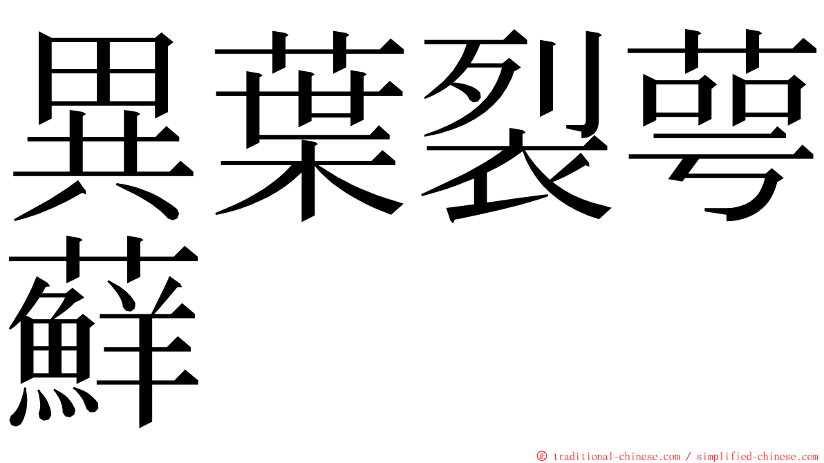 異葉裂萼蘚 ming font