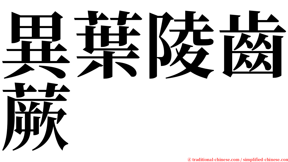 異葉陵齒蕨 serif font