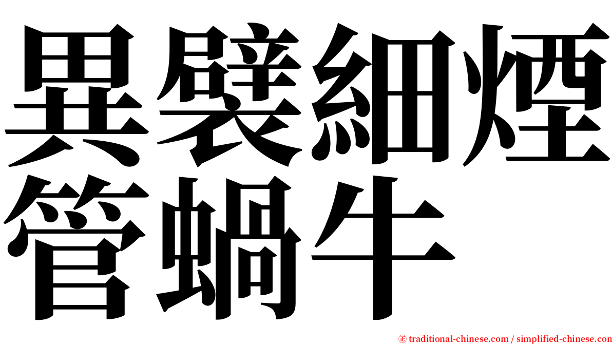 異襞細煙管蝸牛 serif font