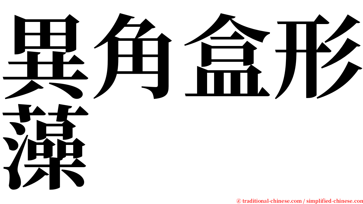 異角盒形藻 serif font