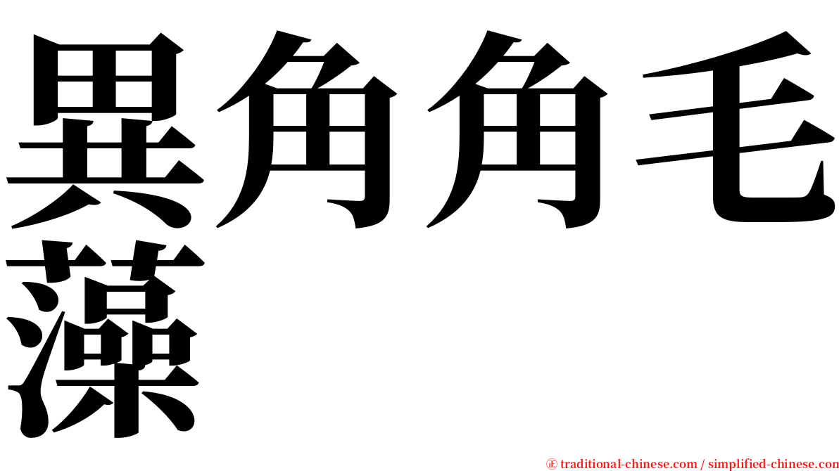 異角角毛藻 serif font