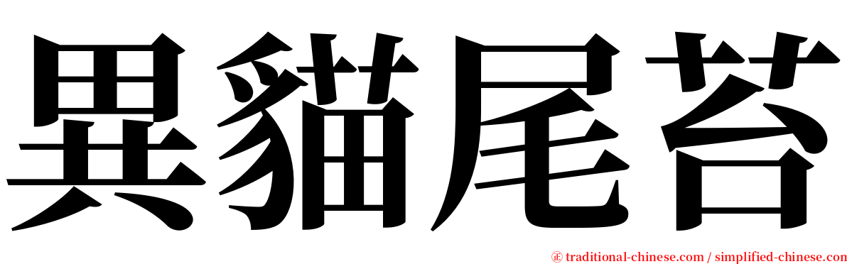 異貓尾苔 serif font