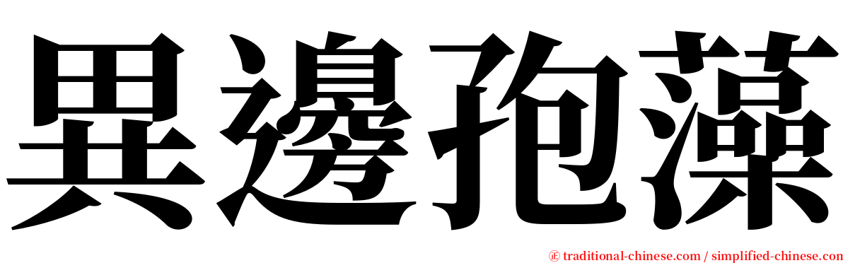 異邊孢藻 serif font