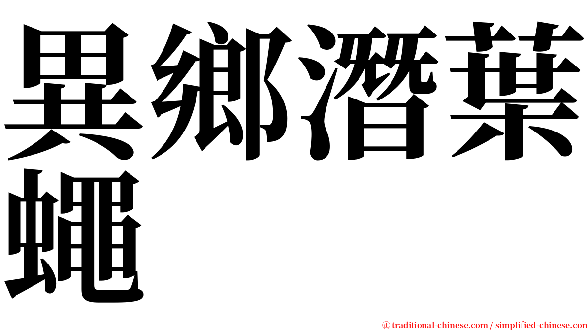 異鄉潛葉蠅 serif font