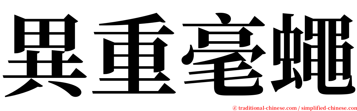 異重毫蠅 serif font