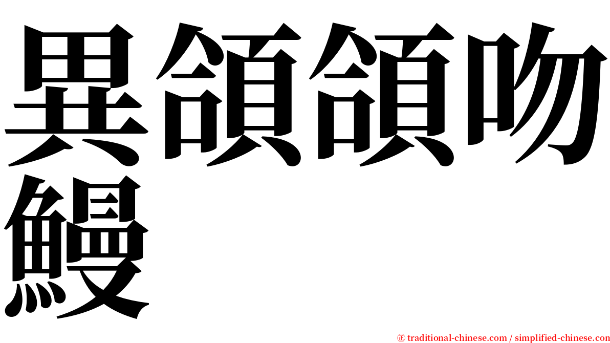 異頜頜吻鰻 serif font