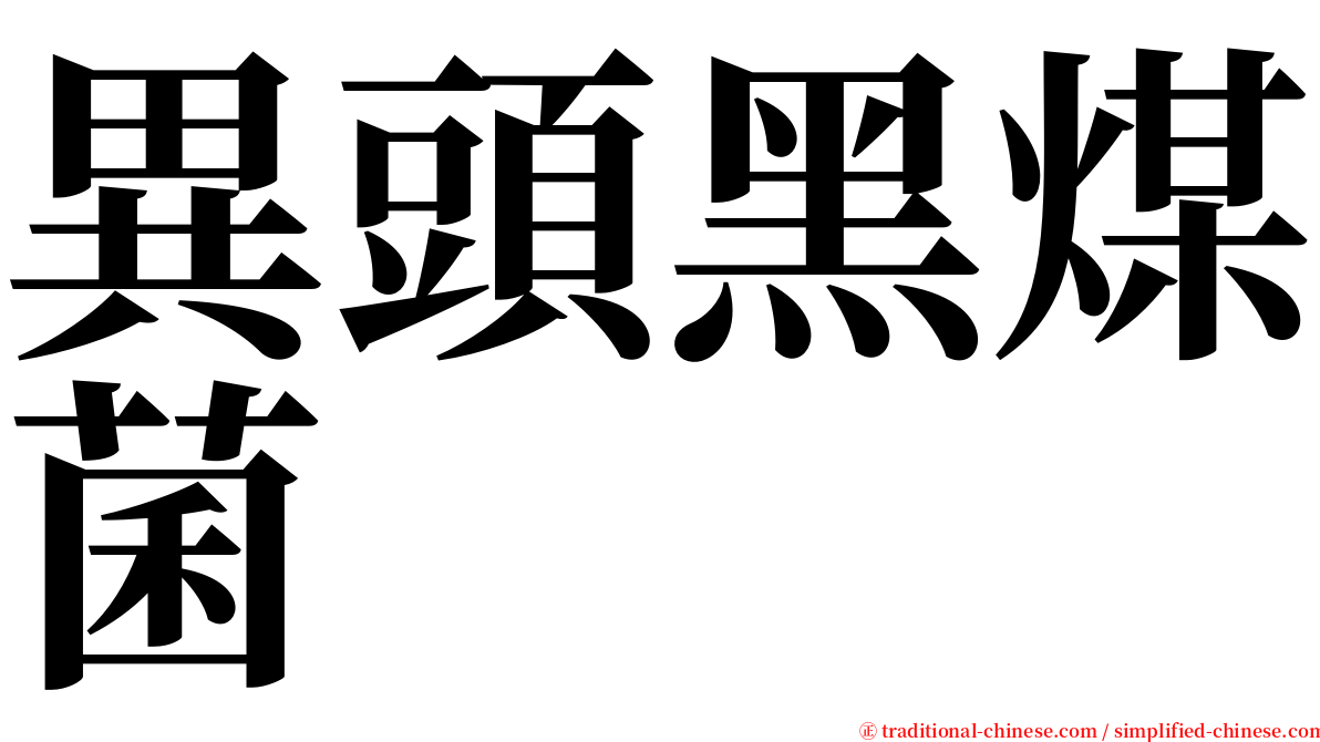 異頭黑煤菌 serif font