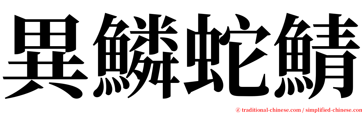 異鱗蛇鯖 serif font