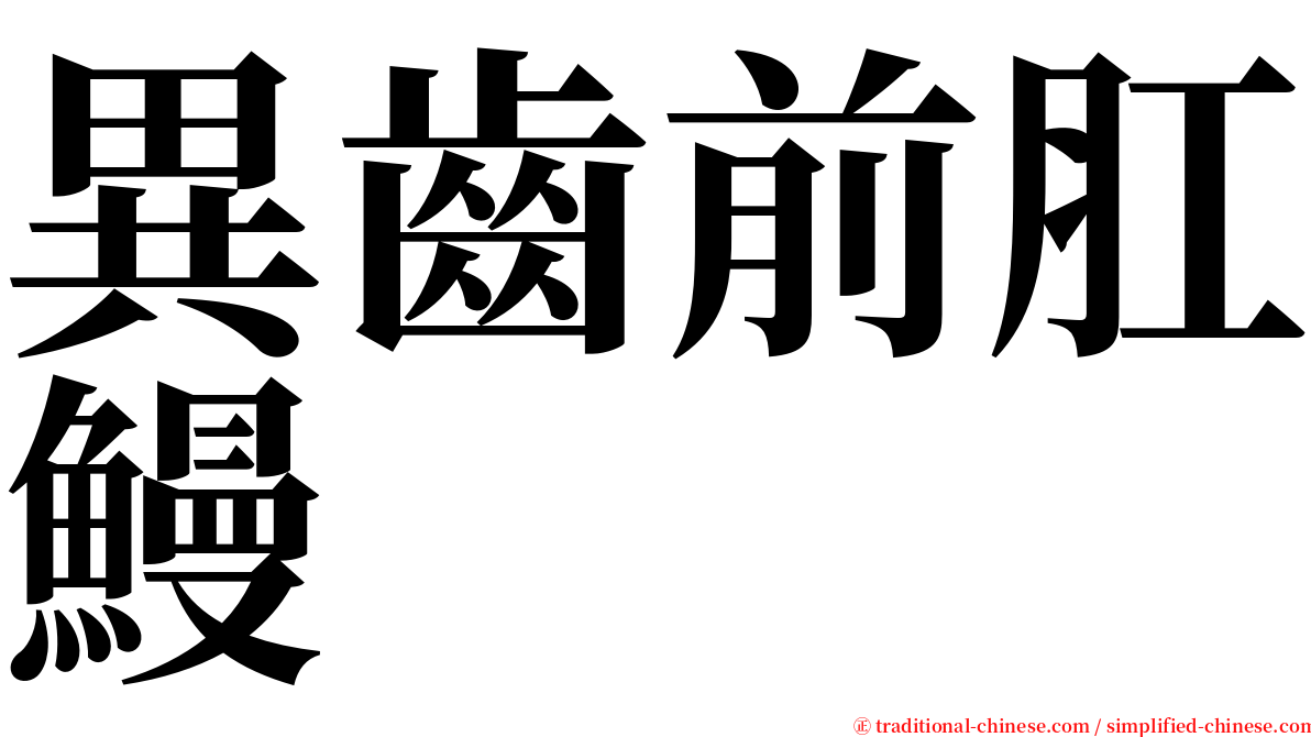 異齒前肛鰻 serif font