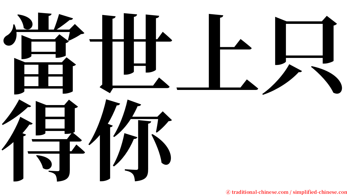 當世上只得你 serif font