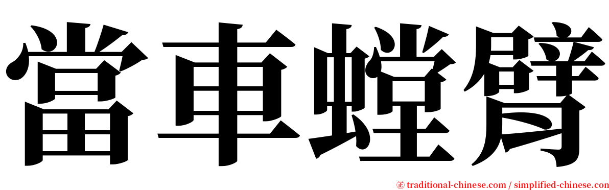 當車螳臂 serif font