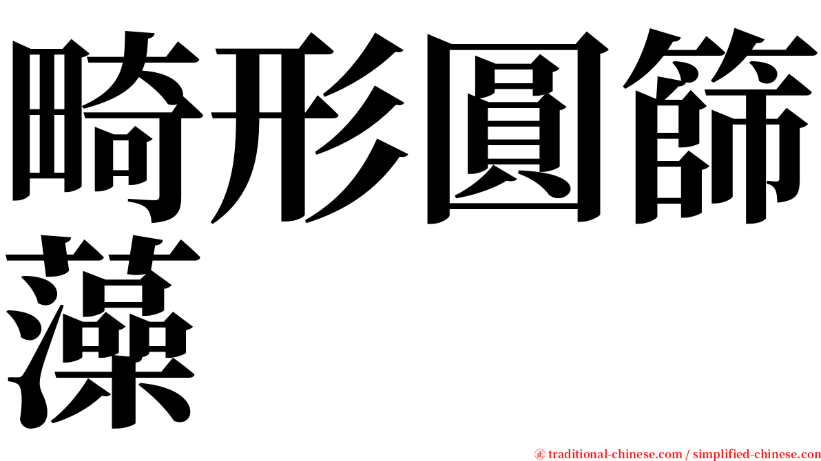 畸形圓篩藻 serif font