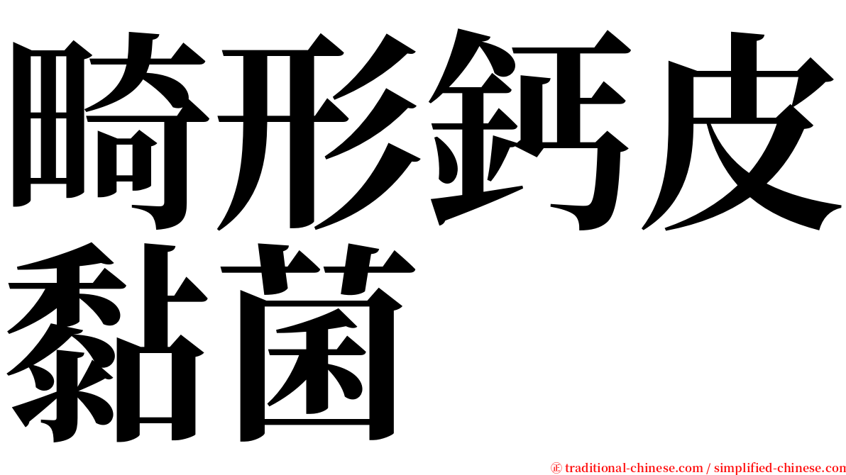 畸形鈣皮黏菌 serif font