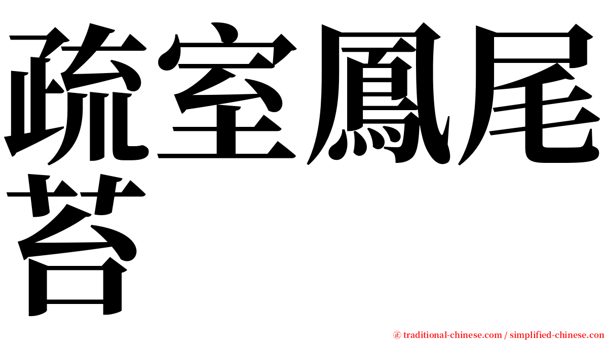 疏室鳳尾苔 serif font