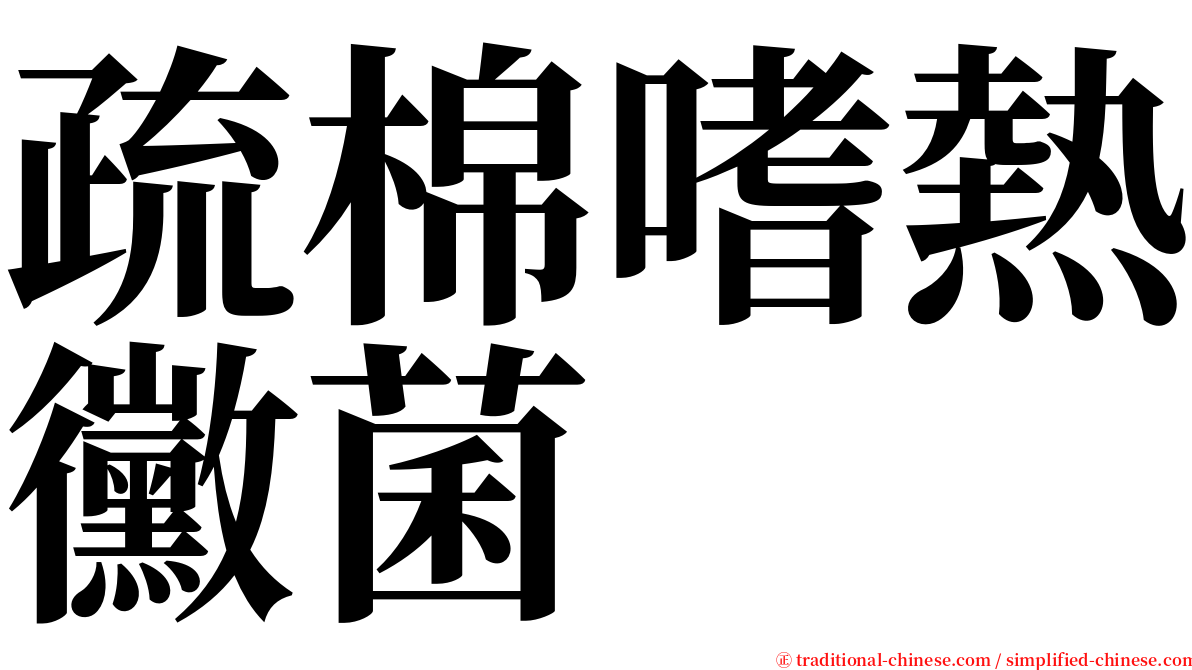 疏棉嗜熱黴菌 serif font