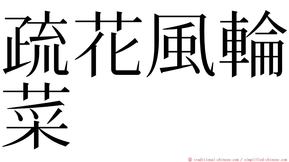疏花風輪菜 ming font